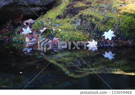 Autumn image: Fallen leaves and mossy rocks reflected on the water surface Autumn image: Fallen leaves and mossy rocks reflected on the water surface 133059468