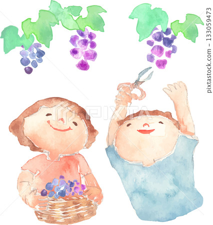 兒童採摘葡萄的插圖 133059473