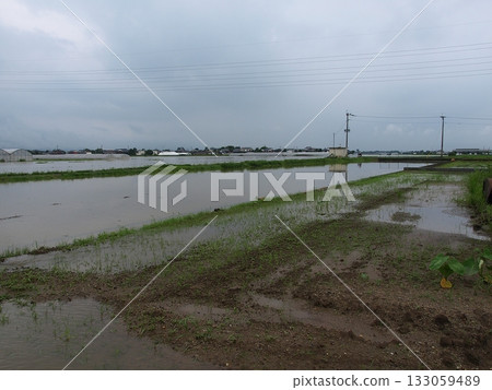 2012 heavy rain in Kyushu 133059489