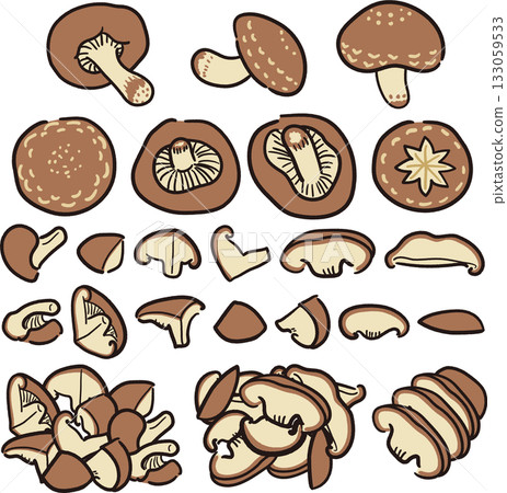 Hand-drawn style shiitake mushroom cut Hand-drawn style shiitake mushroom cut 133059533