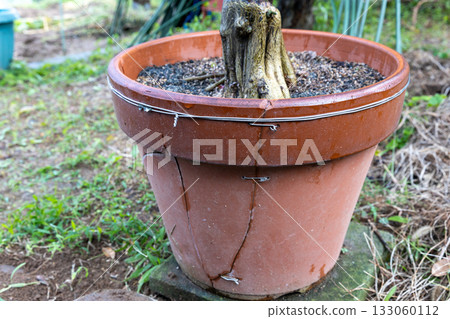 Flower pot repaired with wire Flower pot repaired with wire 133060112