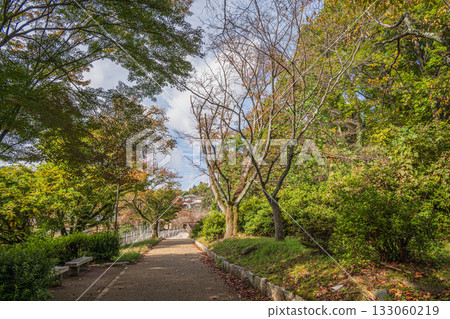 Forest scenery along the Lake Biwa Canal, Kyoto City 133060219