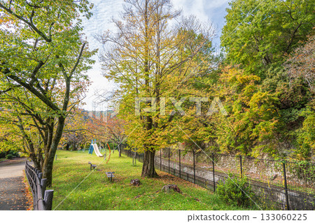 琵琶湖運河、藤山北兒童公園、京都市 133060225