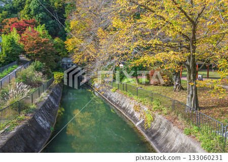 Autumn at Lake Biwa Canal, near the entrance to the second tunnel, Kyoto City Autumn at Lake Biwa Canal, near the entrance to the second tunnel, Kyoto City 133060231