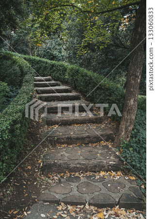 Stone Garden Path. Rustic Steps through Greenery Stone Garden Path. Rustic Steps through Greenery 133060833