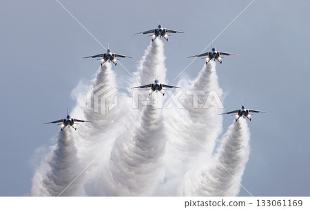Blue Impulse (Iruma Air Base Air Show) 133061169