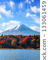 白雪皚皚的富士山和秋葉 133061459