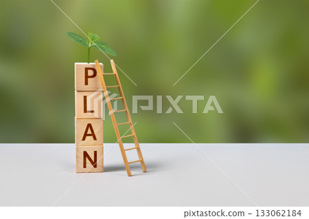 Wooden cubes with the words plan, young green seedling and wooden ladder are a symbol of success, business progress, strategic development of a company, startup. Business concept 133062184