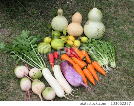 Autumn family garden 133062257