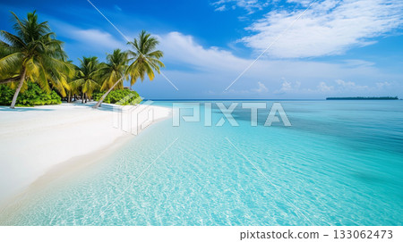 Tropical beach. Summer vacation on a tropical island with beautiful beach and palm trees. Tropical Maldives. 133062473