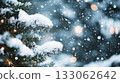 Tree branches covered in snow. closeup of snow covered evergreen branch in forest. snow covered pine needles 133062642