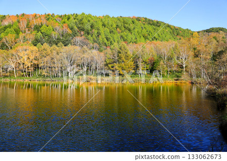 The magnificent autumn foliage of Shiga Kogen The magnificent autumn foliage of Shiga Kogen 133062673