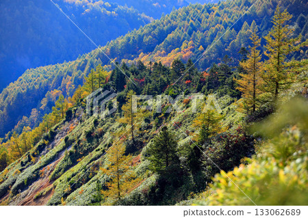 The magnificent autumn foliage of Shiga Kogen The magnificent autumn foliage of Shiga Kogen 133062689