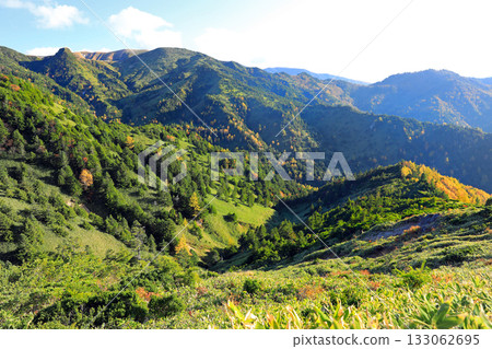 The magnificent autumn foliage of Shiga Kogen 133062695