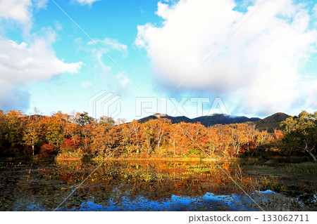 志賀高原壯觀的秋葉 133062711