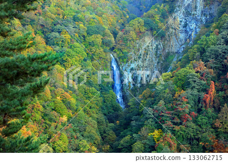 志賀高原壯觀的秋葉 133062715