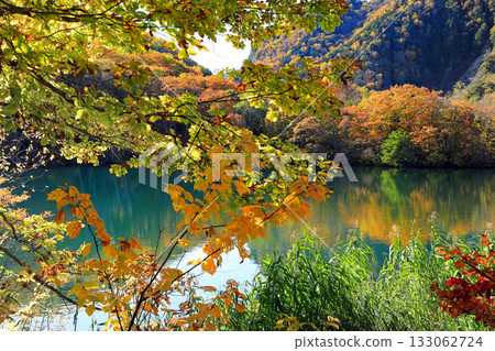 The magnificent autumn foliage of Shiga Kogen The magnificent autumn foliage of Shiga Kogen 133062724