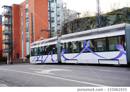 赫爾辛基，芬蘭，冬天，聖誕節，城市景觀 133062935