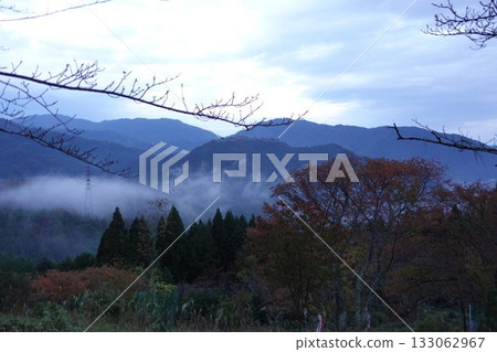 早上6:30從兵庫縣的「立雲峽」前往武田城遺址。期待的雲海景象令人失望。 2025年11月 133062967