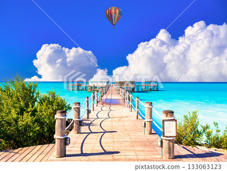 The beautiful coral reefs of Zanzipal Resort The beautiful coral reefs of Zanzipal Resort 133063123