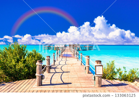 The beautiful coral reefs of Zanzipal Resort 133063125