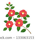 水彩風格的山茶花 133063153