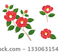 水彩風格的山茶花 133063154