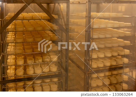 Cheeses arranged on racks being aged in the factory Cheeses arranged on racks being aged in the factory 133063264