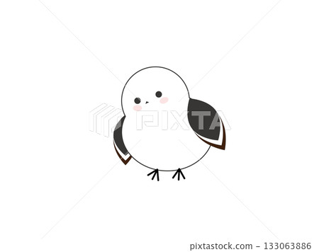Illustration of a long-tailed tit facing the front Illustration of a long-tailed tit facing the front 133063886