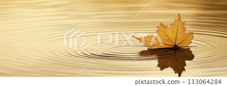 Golden Maple Leaf Resting on Calm Water with Ripples and Reflection Golden Maple Leaf Resting on Calm Water with Ripples and Reflection 133064284