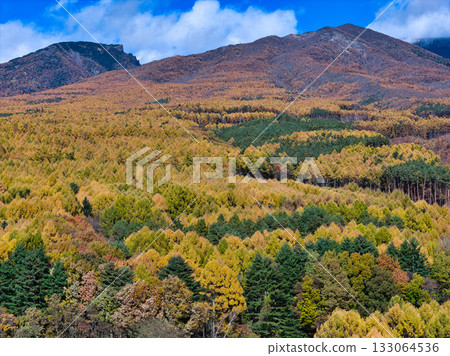 Beautiful autumn foliage at the foot of Mount Asama and Mount Kengamine and Mount Kurobanza in Miyota Town, Nagano Prefecture (aerial photography by drone) Beautiful autumn foliage at the foot of Mount Asama and Mount Kengamine and Mount Kurobanza in Miyota Town, Nagano Prefecture (aerial photography by drone) 133064536