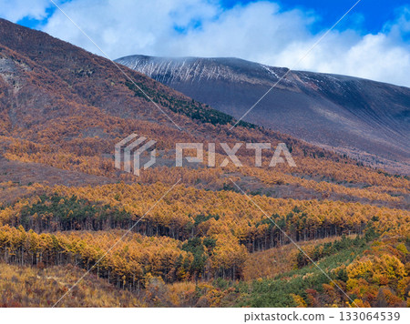 長野縣宮田町淺間山腳下和白雪皚皚的前掛山景色優美的秋葉（無人機空拍照片） 133064539