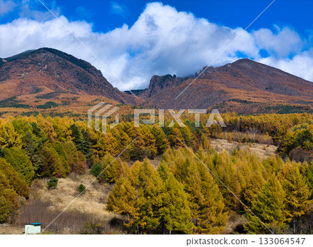 Beautiful autumn foliage at the foot of Mount Asama and Mount Kengamine and Mount Kurofuda in Komoro City, Nagano Prefecture (aerial shot taken by drone) 133064547