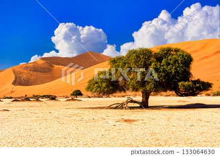 Spectacular views of the scorching hot Namib Desert 133064630