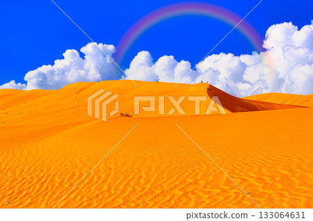 納米布沙漠酷熱難耐，景色壯麗。 133064631