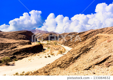 納米布沙漠酷熱難耐，景色壯麗。 133064632