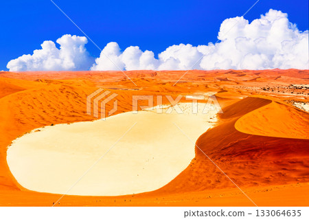 納米布沙漠酷熱難耐，景色壯麗。 133064635
