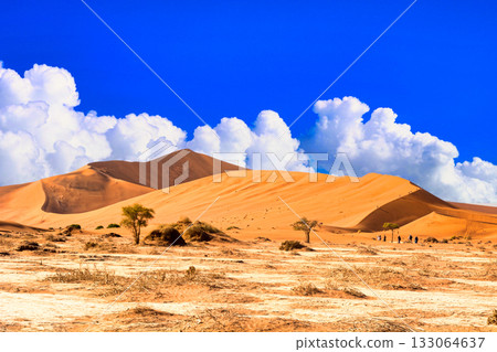 納米布沙漠酷熱難耐，景色壯麗。 133064637