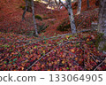 Autumn leaves source flow Autumn leaves source flow 133064905