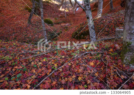 Autumn leaves source flow Autumn leaves source flow 133064905