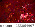 Autumn leaves one color Autumn leaves one color 133064907