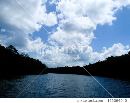 Mangroves and clouds Mangroves and clouds 133064940