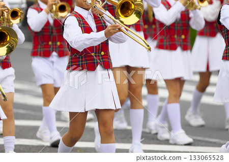 Marching band parade instruments Marching band parade instruments 133065528