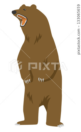 Illustration of a bear standing with its mouth open Illustration of a bear standing with its mouth open 133065659