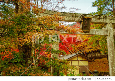 Furudate Shrine, Kanuma City, Tochigi Prefecture 133065660