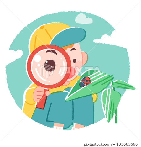 男孩用放大鏡觀察瓢蟲 男孩用放大鏡觀察瓢蟲 133065666