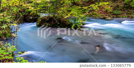 奧入瀨峽谷秋葉全景 [青森縣十和田市] 133065779