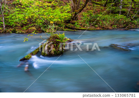 奧入瀨峽谷的秋葉 [青森縣十和田市] 133065781