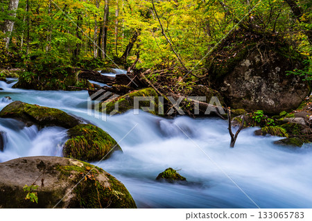 奧入瀨峽谷的秋葉 [青森縣十和田市] 133065783