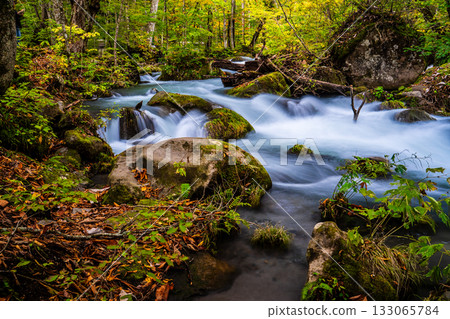 Autumn leaves at Oirase Gorge [Towada City, Aomori Prefecture] 133065784